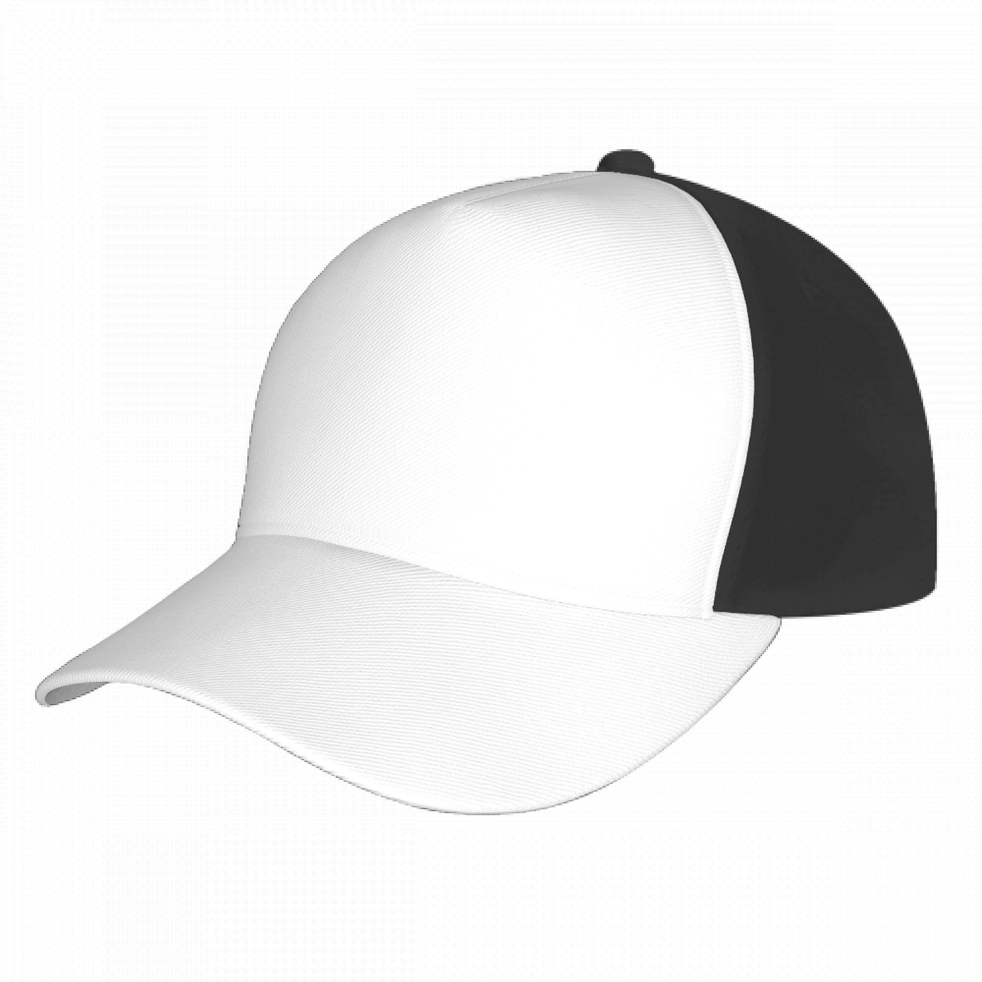 Customizable Curved Brim Baseball Cap (with Black color)