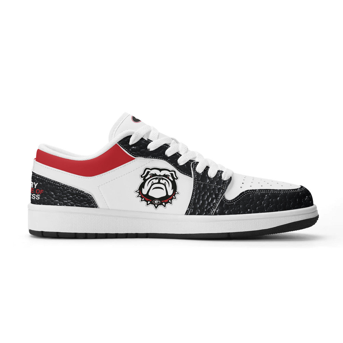 University of Georgia V2