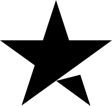 Trustpilot review platform logo